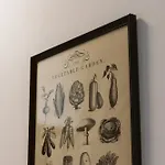 Townhouse Boutique